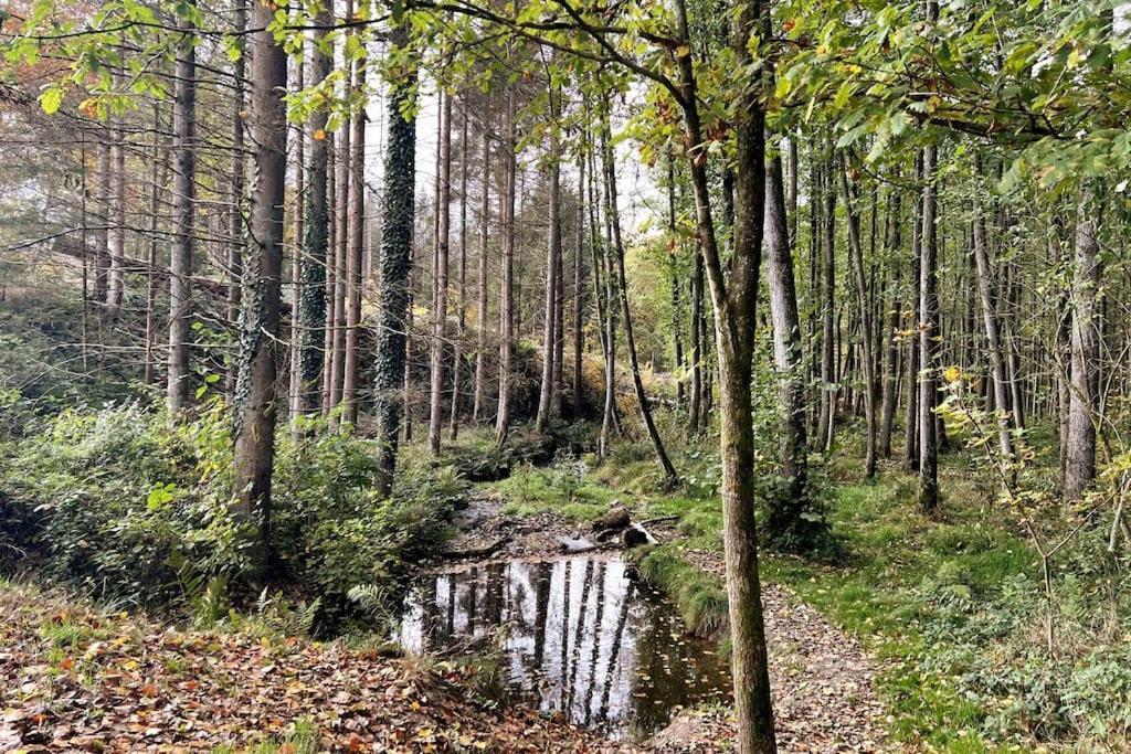Forest Retreat- Serene 160M2 With Forest Views Wermelskirchen Εξωτερικό φωτογραφία