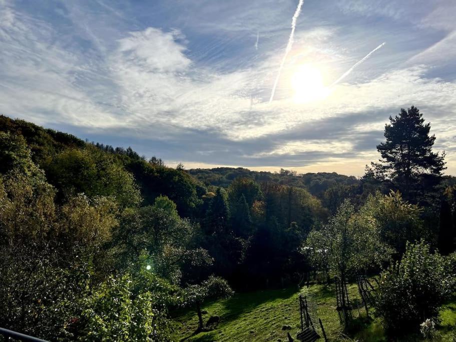 Forest Retreat- Serene 160M2 With Forest Views Wermelskirchen Εξωτερικό φωτογραφία