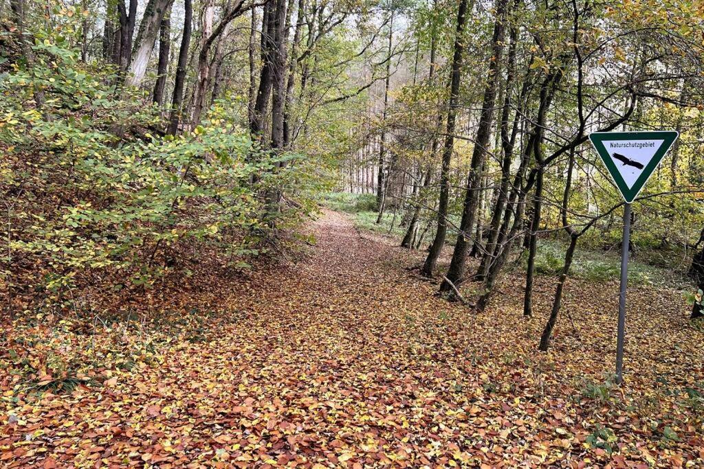 Forest Retreat- Serene 160M2 With Forest Views Wermelskirchen Εξωτερικό φωτογραφία